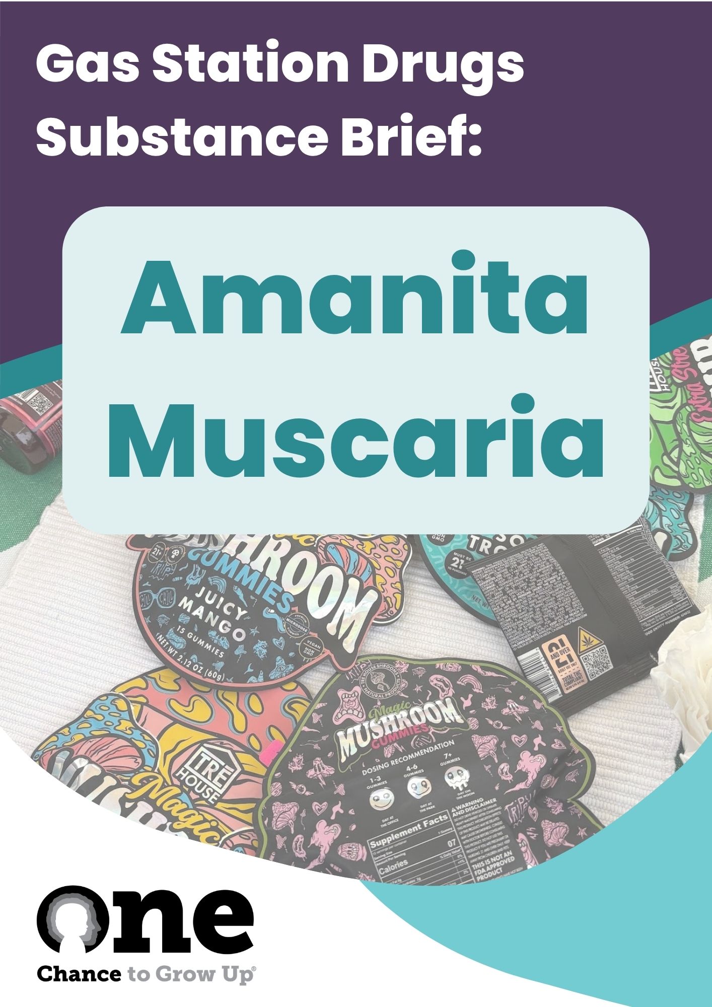 Cover of the Amanita Muscaria PDF