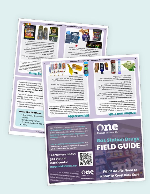 Cover of the Field Guide — print & fold PDF